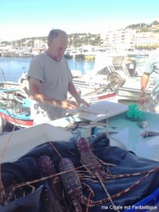 Port de Cassis - Provence