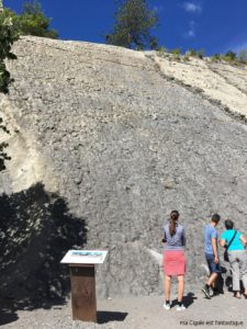 Dalles aux ammonites - Digne les bains - Unesco Géoparc